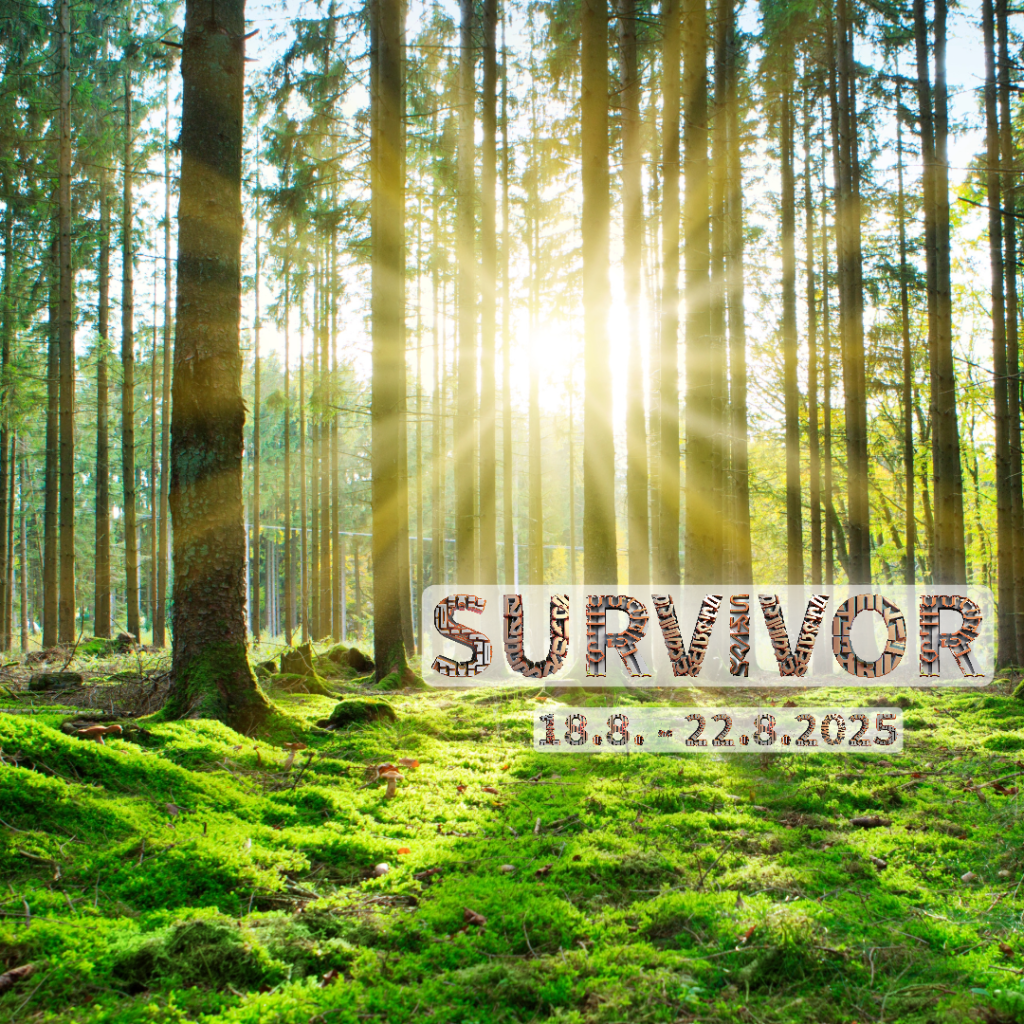 Survivor