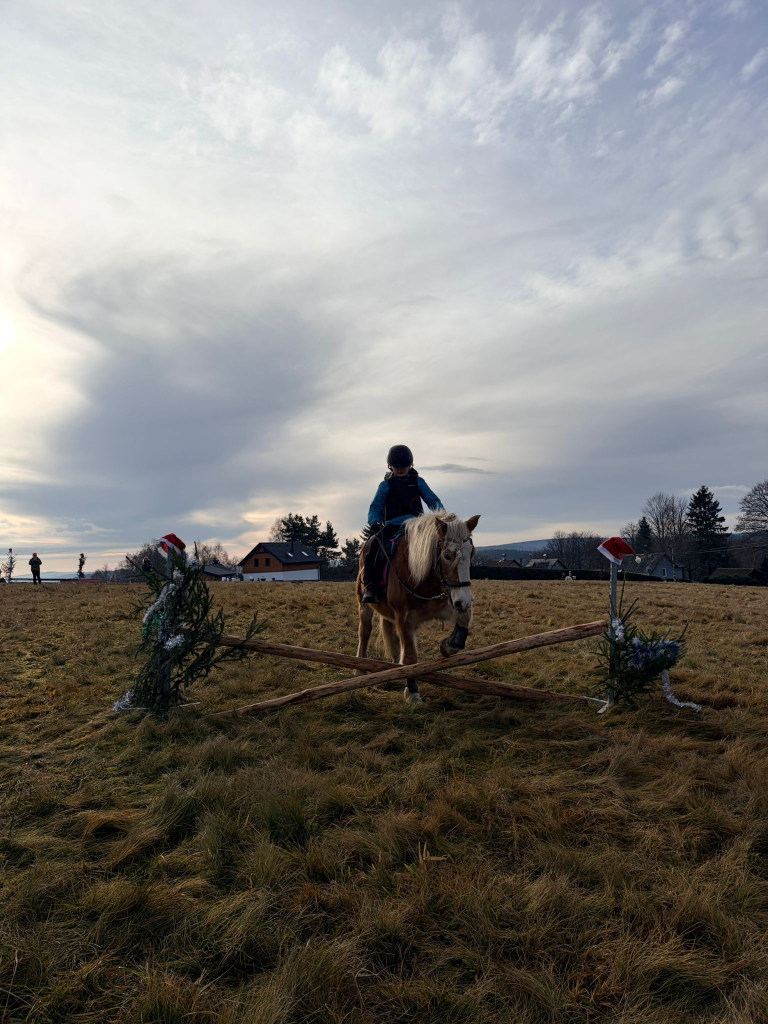 Obrázek WhatsApp, 2025-12-20 v 20.12.07_f1b92922.jpg