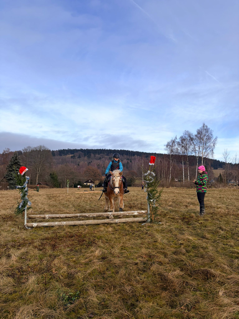 Obrázek WhatsApp, 2025-12-20 v 20.12.20_246b41a0.jpg