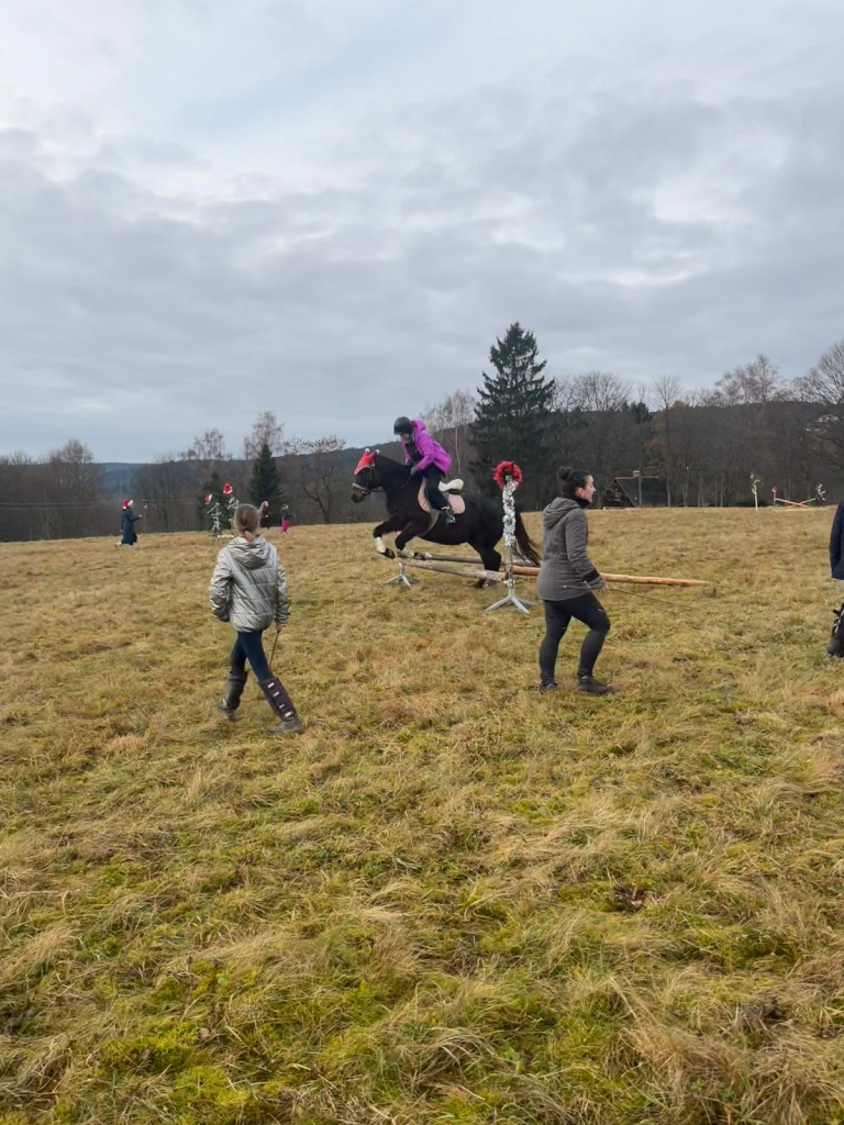 Obrázek WhatsApp, 2025-12-20 v 20.14.54_f9fe923e.jpg