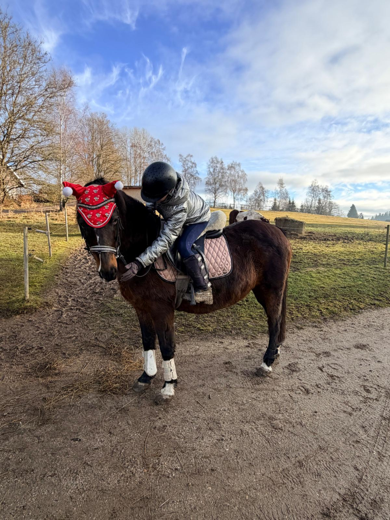 Obrázek WhatsApp, 2025-12-20 v 20.15.05_8e518676.jpg