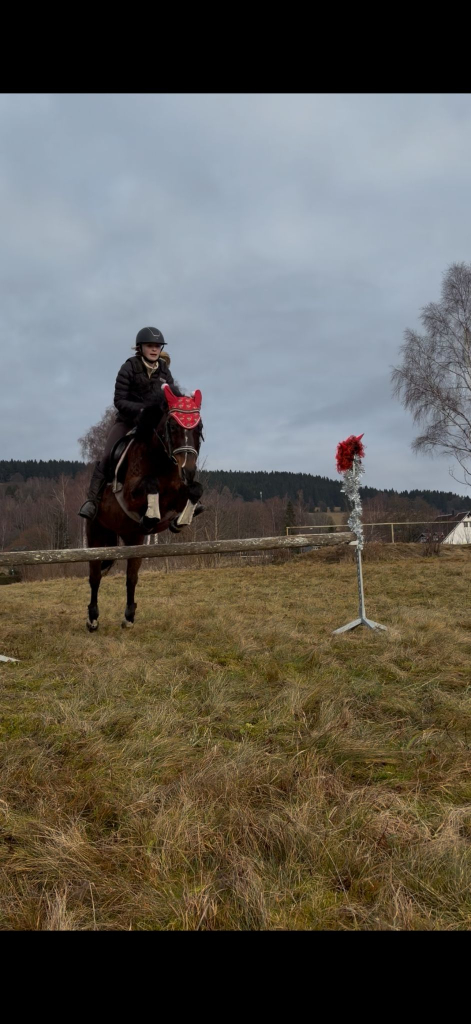 Obrázek WhatsApp, 2025-12-20 v 20.15.59_f83669ae.jpg