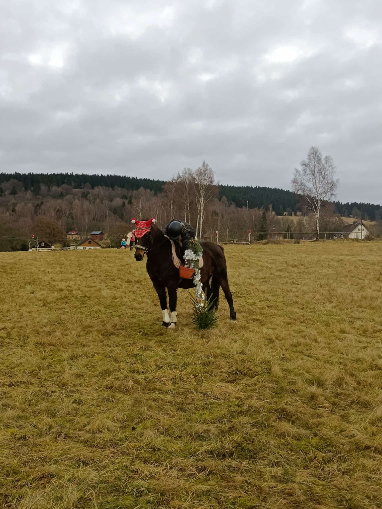 WhatsApp Image 2025-12-25 at 21.11.43.jpeg