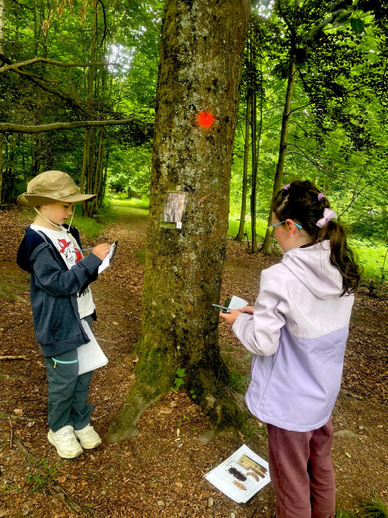 7.jpeg