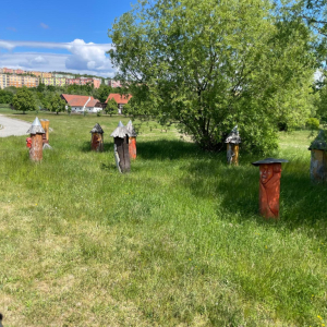 Obrázek WhatsApp, 2025-05-19 v 14.02.49_734d2073.jpg