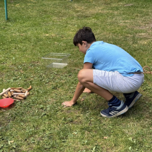 536095837_1322765346227274_4017919356786957895_n.jpg