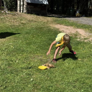 536277386_1322764449560697_4201518215561363950_n.jpg