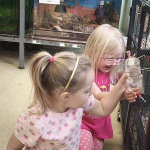 Návštěva školního zoo koutku