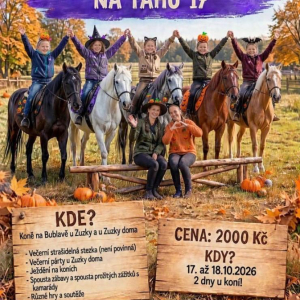 Halloweenské buchty na tahu 17