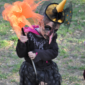 DSC_0333.JPG
