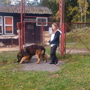 Obrázek WhatsApp, 2023-10-25 v 20.14.37_78d42bc2.jpg